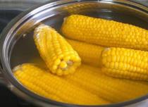 Как определить спелость кукурузы и собрать урожай вовремя Как проверить сварилась ли кукуруза в початках